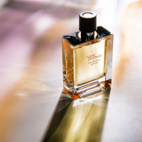 [挚爱男友香]HERMES/爱马仕大地男士香水200ml 经典EDT淡香持久 柔和沉稳 送男友礼物情人节礼物