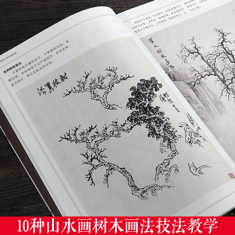 2册 中国传统山水画+百鸟画法解析 [正版]中国传统山水画课徒稿黄秋园中国山水画技法解析黄秋园课徒稿范例解析步骤图树枝法高清大图