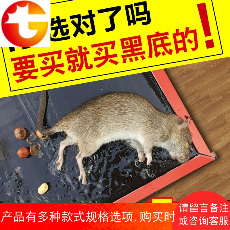 仓库超强力灭鼠灵粘杀鼠板大老鼠贴颗粒药老鼠笼夹驱鼠神器家庭用