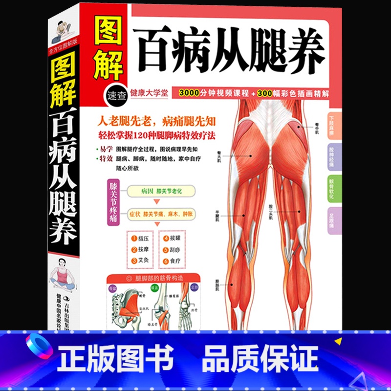 【正版】 百病从腿养(健康大学堂) 中医理疗养生保健书 疾病预防 中医学外科学120种腿脚病的疗法 中医入门书籍