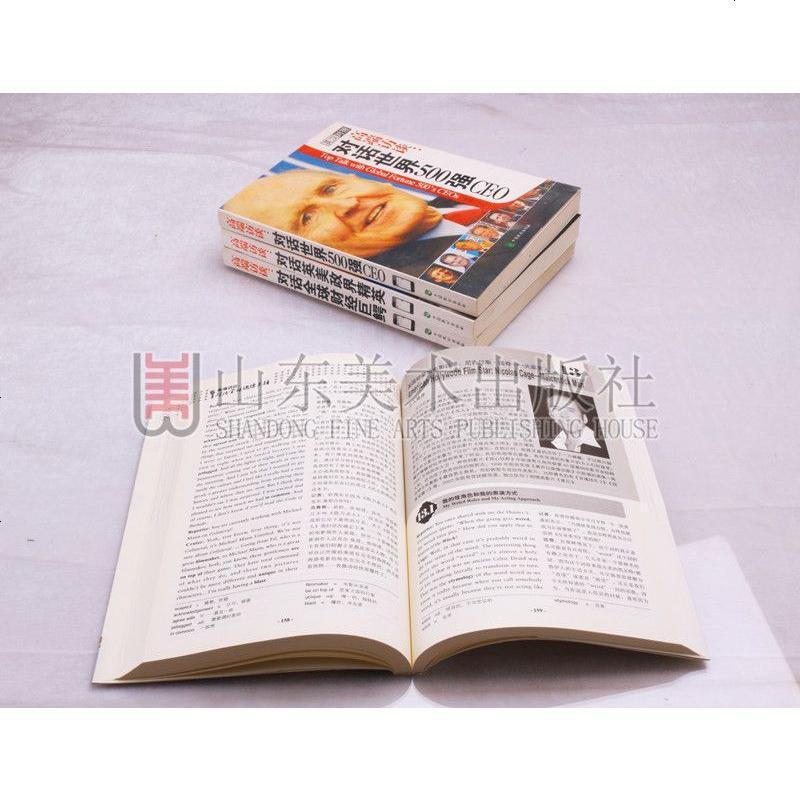 正版 高端访谈系列丛书（4册） 对话世界500强CEO、对话英美政界精英、对话全球偶像先锋、对话全球财经巨鳄 中国