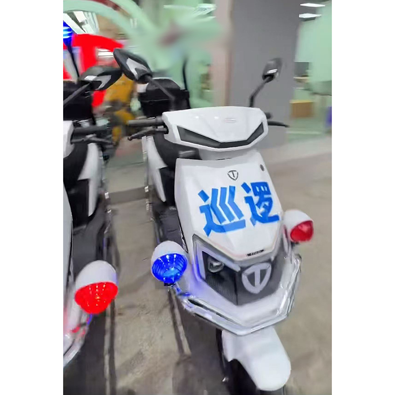 台铃(TaiLG) A1电动二轮自行车高清大图