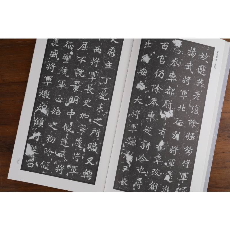 北魏墓志精粹1 司马金龙墓志 赵谧墓志 司马悦墓志 皮演墓志 赵盛夫妻墓志 常敬兰墓志 程暐墓志 缑显墓志