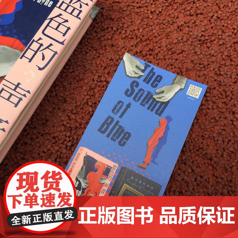 蓝色的声音(我们会有容身之处,更会有心之归处。《偷灵魂的男孩》作者荷莉·佩恩指引异乡人寻找心灵归处的动情之作,送给用尽力高清大图