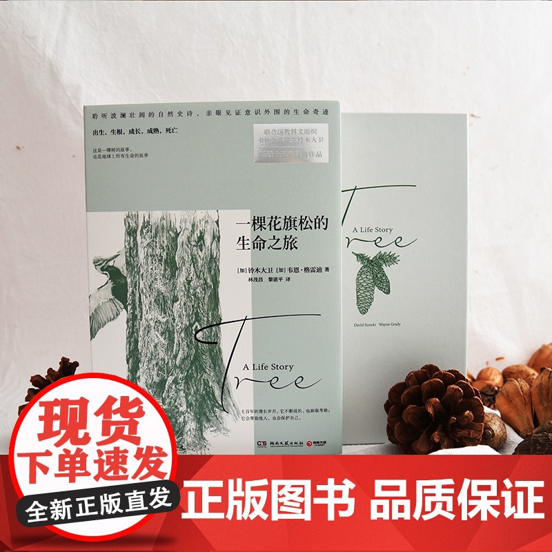 [央视网]一棵花旗松的生命之旅 聆听波澜壮阔的自然史诗 亲眼见证意识外围的生命奇迹 联合国教科文组织卡林加奖得主铃木大卫高清大图