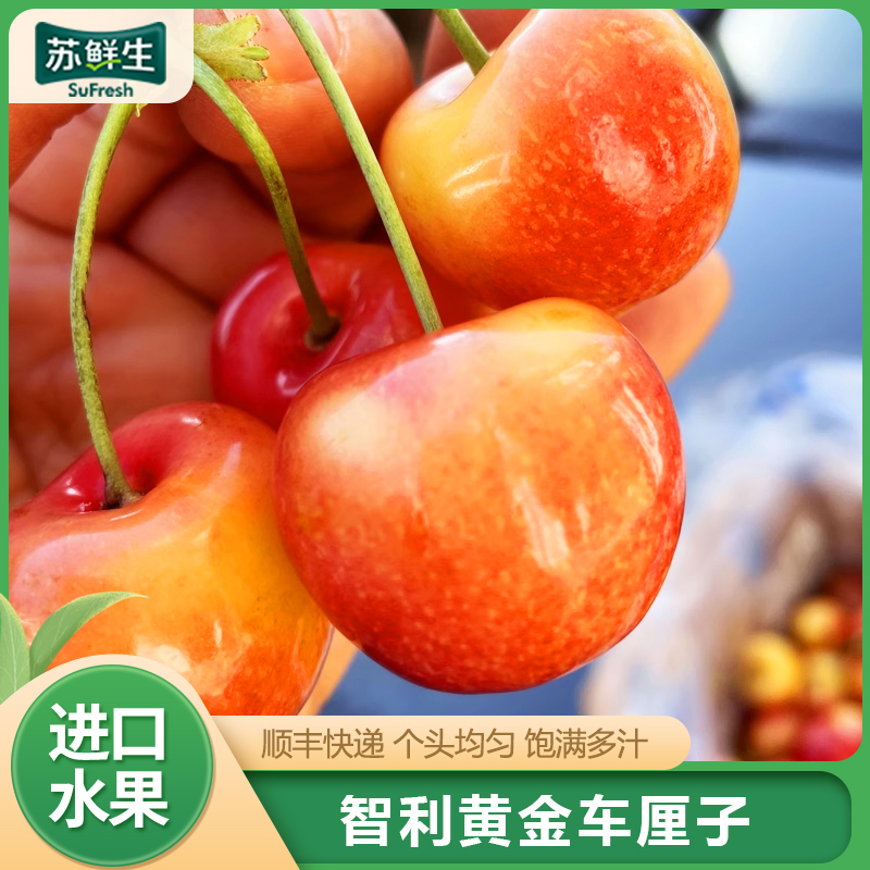 [苏鲜生]顺丰空运 智利进口黄金车厘子 净重4斤 JJ级 应季车厘子 新鲜水果 酸甜可口 西沛高清大图
