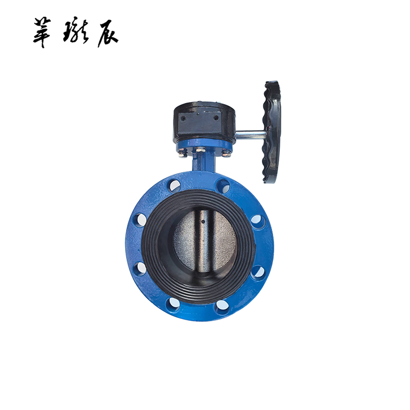 萃珑辰 法兰软密封蝶阀 D341X-16Q DN300 个