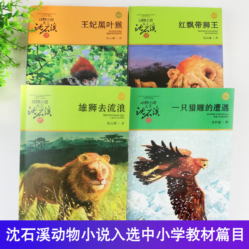 [正版]沈石溪动物小说全集作品全套共4册 王妃黑叶猴 红飘带狮王 雄狮去流浪一只猎雕的遭遇动物小说大王沈石溪品藏书系经