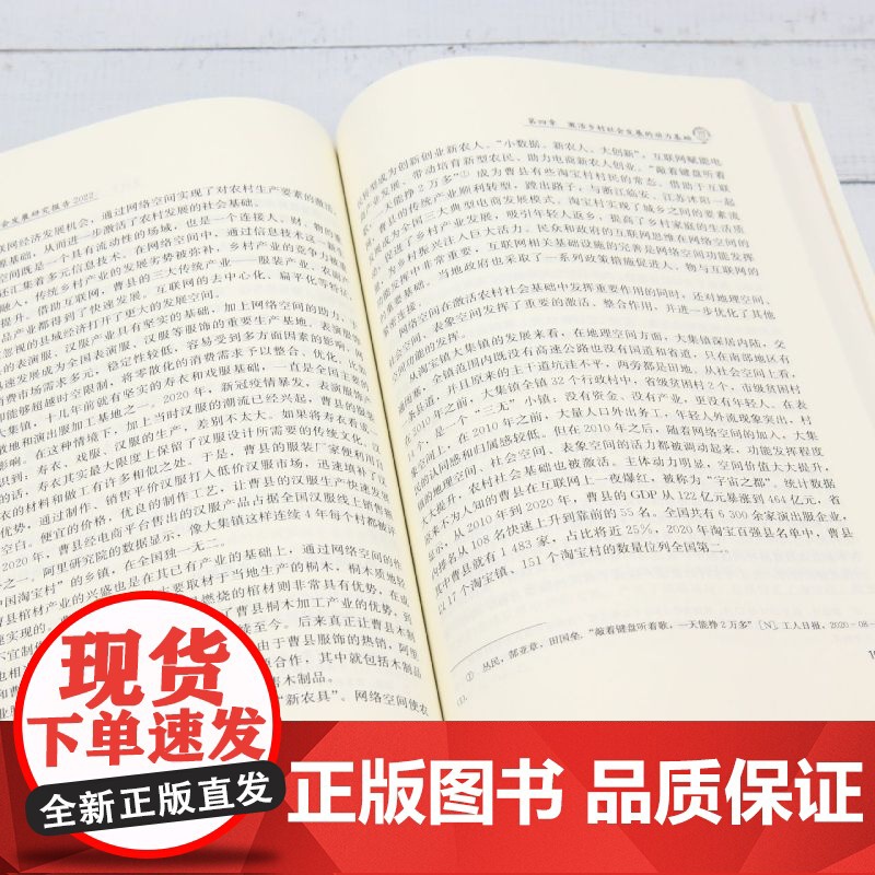 中国人民大学中国社会发展研究报告.2022:区域发展的乡村社会基础高清大图