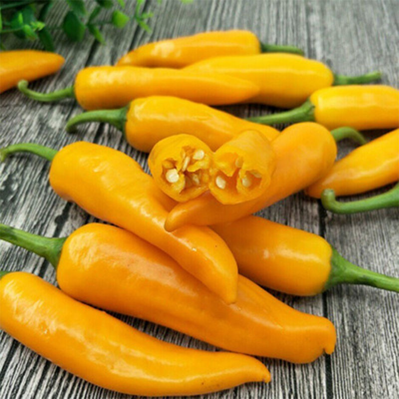1kg永安黄椒米辣泡椒特产香辣黄辣椒新鲜农家自种尖椒剁椒