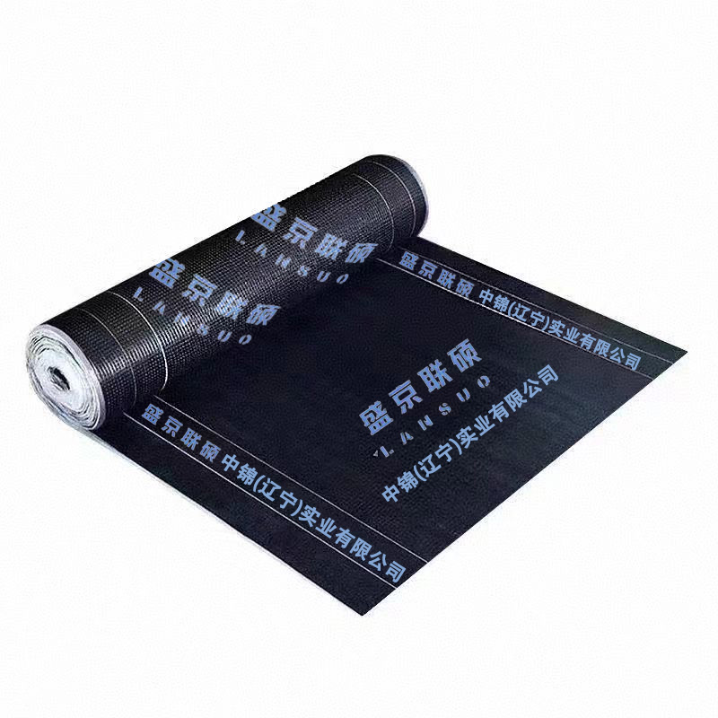 盛京联硕 SBS改性沥青防水卷材 4.0mm/10m -25度 卷
