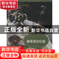 正版 葡萄酒与松露 丹尼斯荷维(Denis Hervier),王丝丝 译 东
