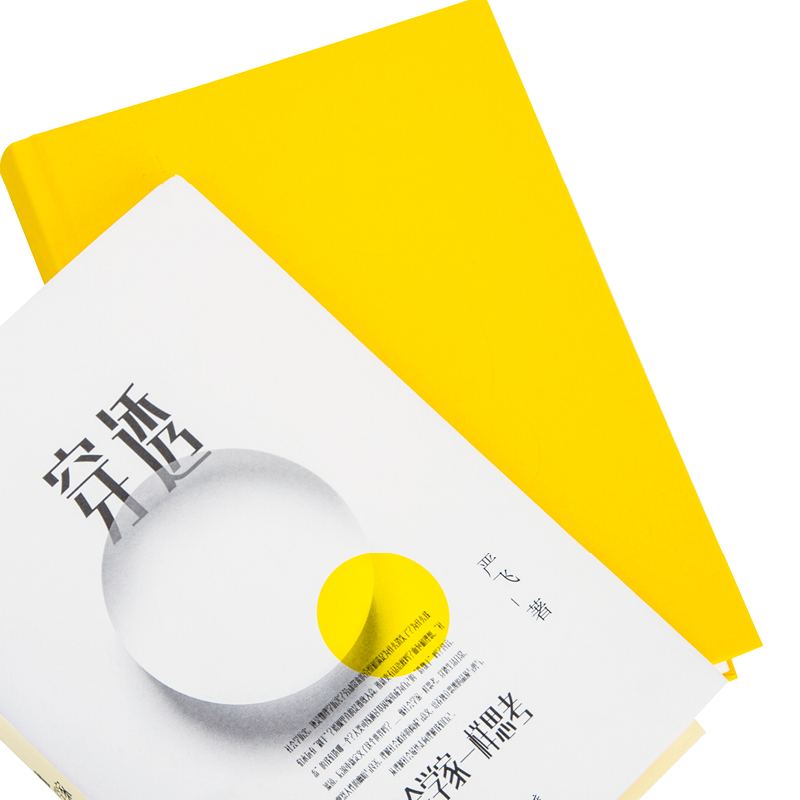 [正版]穿透:像社会学家一样思考 清华大学社会学家严飞著 钱颖一、刘瑜、郝景芳 ,梁文道作序 社会学小说集 书籍高清大图