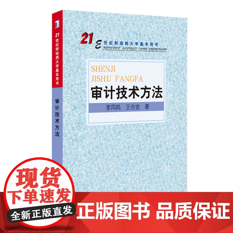 审计技术方法(21世纪财经类大学基本用书)高清大图