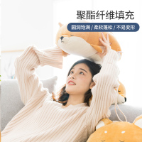 名创优品 (miniso) 柴犬靠枕毛绒公仔可爱玩具玩偶礼物床上狗狗抱枕(黄色)