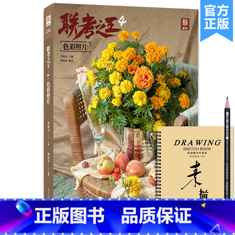 【正版】联考之王4色彩照片 2023敲门砖钟伟安
