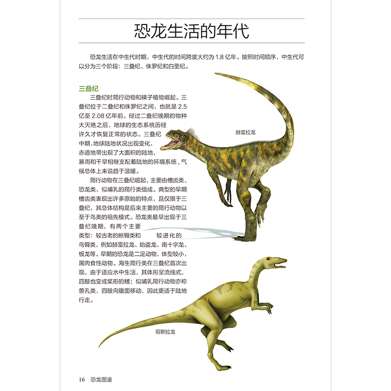 正版新书]恐龙图鉴赵文斌 主编 凤凰含章出品9787553756097高清大图