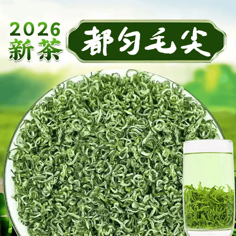 贵天下 都匀毛尖2026年新茶 1斤袋装