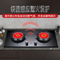 红日(RedSun)燃气灶双灶家用定时灶煤气灶双电源台式嵌入式灶具炉具红外线节能省气一级能效EM608B 天然气