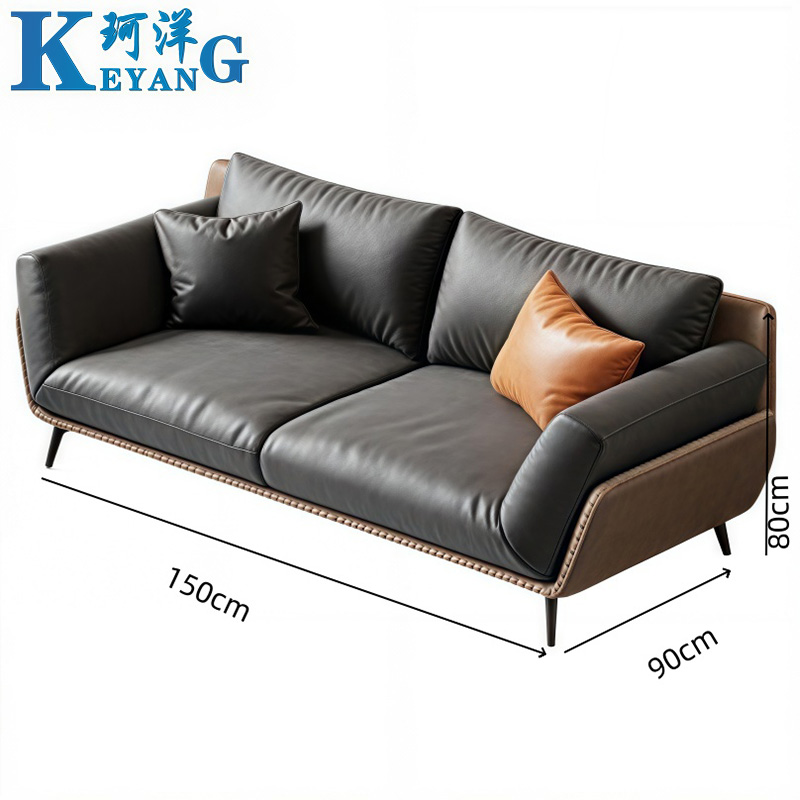 珂洋 洽谈沙发 双人位 张高清大图