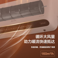 格力(GREE)暖风机NBFC-X6020取暖器家用壁挂式暖风机IPX4级防水浴室电暖器 居浴两用电暖气速热防烫取暖炉热