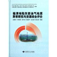 临清坳陷东部油气地质异常研究与资源综合评价