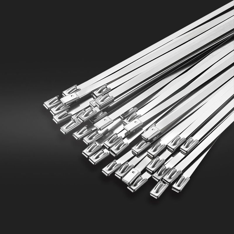 鸿启纳 304不锈钢扎带金属强力卡扣自锁式收紧23122502 4.6mm*150mm (100根/包)高清大图