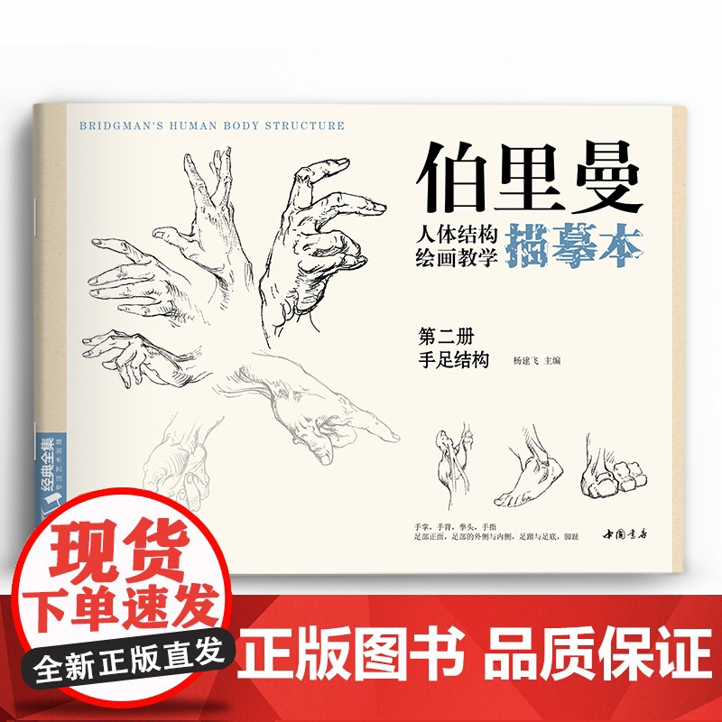 伯里曼人体结构教学描摹本[四册全套] 正版速写人物结构绘画练sh高清大图