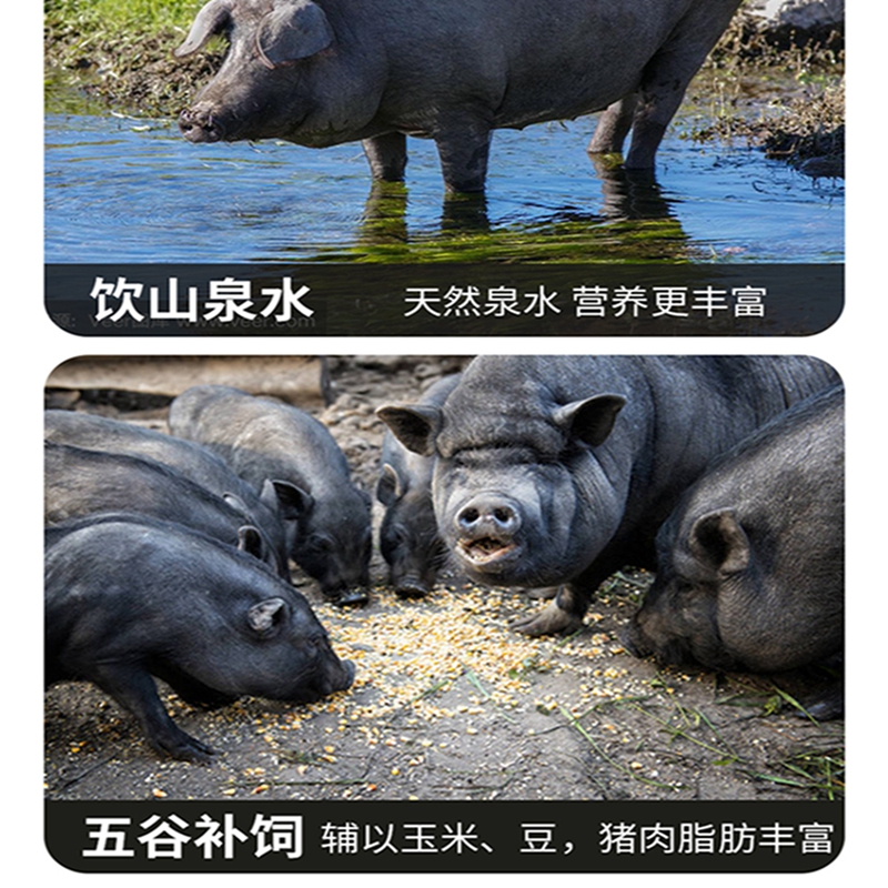 首鲜码头-黑猪肉A款(后腿肉500g*1 前腿肉500g 五花肉500g 猪棒骨500g*1)2000g高清大图