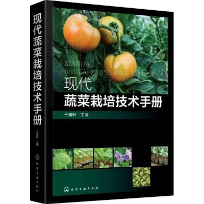11现代蔬菜栽培技术手册978712232943122