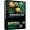 11现代蔬菜栽培技术手册978712232943122