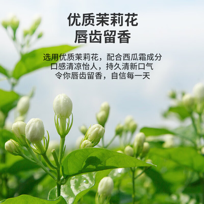 三金西瓜霜牙膏 清焱护龈清新口气抗敏镇疼深层清洁护龈健齿牙膏120g高清大图