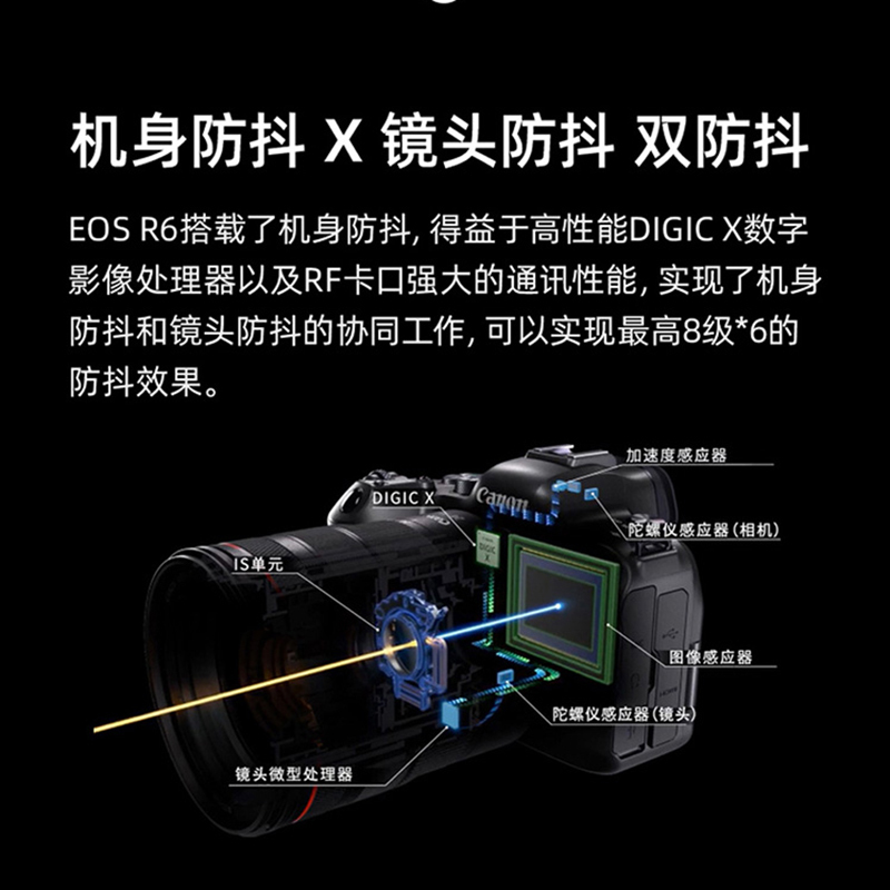 R6 +RF 24-105/4-7.1 STM