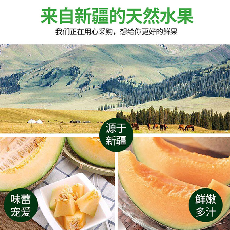 卜任舒 哈密瓜约4.5kg(包装随机发货)高清大图