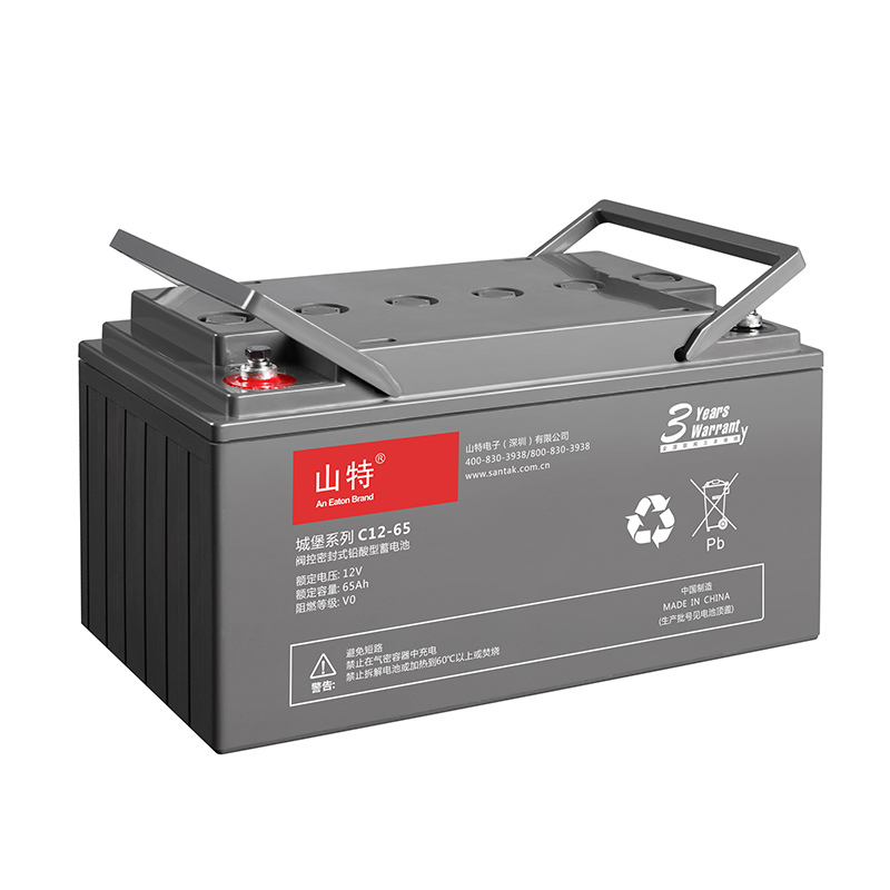 山特蓄电池(SANTAK)C12-65 山特UPS不间断电源12V65AH铅酸蓄电池