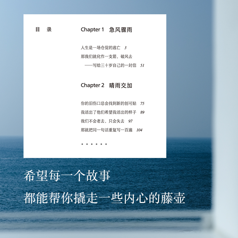 等-切风平浪静 [正版]等一切风平浪静 希望每一个故事都能帮你撬走一些内心的藤壶 刘同全新随笔十年蜕变之作高清大图