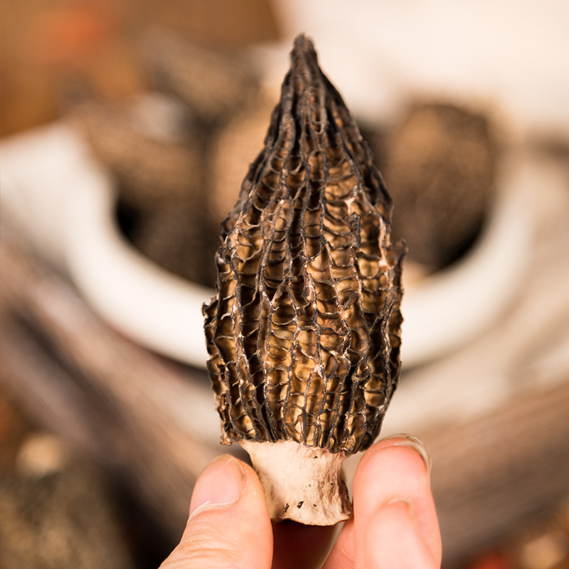 禹珍北川高山特产羊肚菌50g罐装