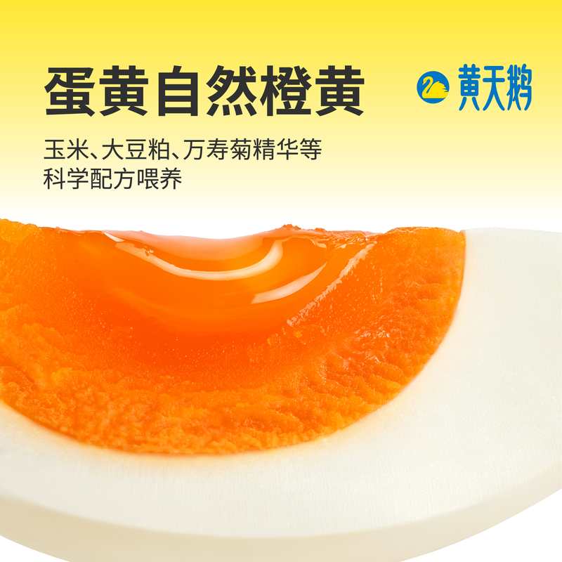 黄天鹅鲜鸡蛋无菌蛋营养高蛋白安全可生食烹饪优选高清大图