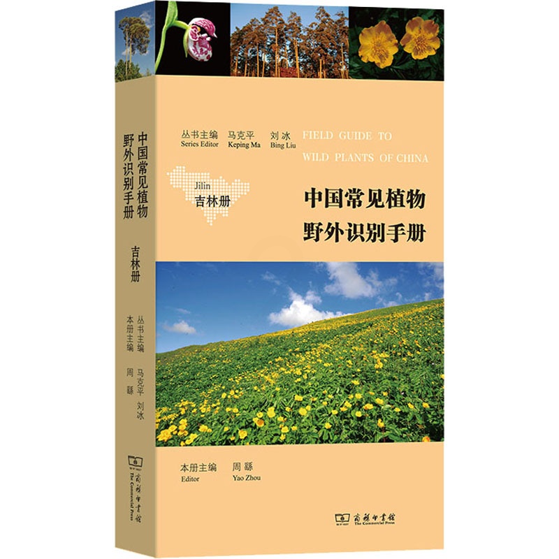 [醉染正版]中国常见植物野外识别手册 吉林册 马克平,刘冰,周繇 编 种植业 专业科技 商务印书馆 9787100222高清大图