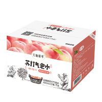 天地精华 苏打水 气泡水白桃味480ml*15瓶 汽水 0糖0脂0卡饮料整箱