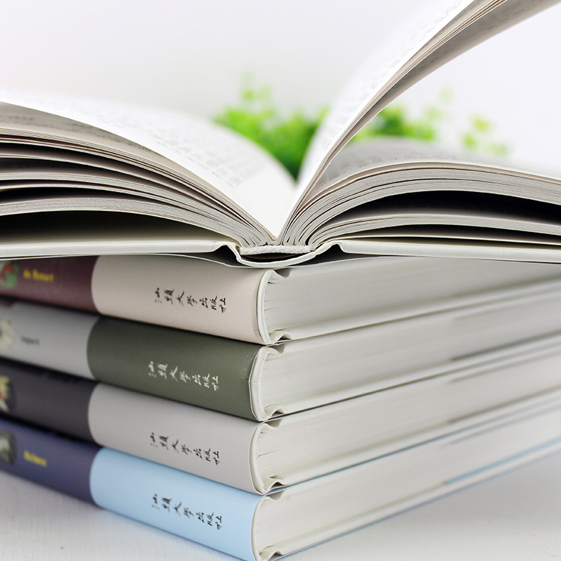 [正版] 项链 小学生版初中版全译本精装青少年版原著世界经典名著小说中文书籍外国文学小说 世界名著书高清大图