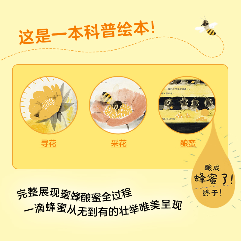 单本全册 [正版]看,蜜蜂! (美)柯尔丝滕·霍尔 生动展现蜜蜂酿蜜全过程!架起孩子亲近自然的桥梁!绘本/图画书/少儿动高清大图