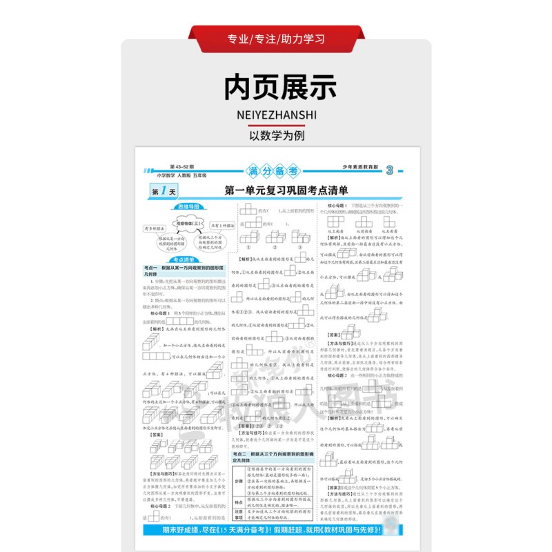 语文[人教版] 二年级上 [正版]15天满分备考少年素质教育报一二三第五六年级语文数学英语小学期末系统总复习人教版苏教版