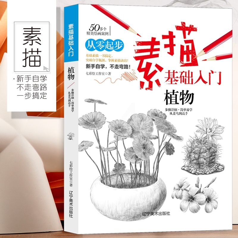 [正版图书]从零起步素描基础入门 植物 画画入门自学零基础学手绘教程 临摹画册学画植物昙花仙人掌多肉等 速写素描初学者零高清大图