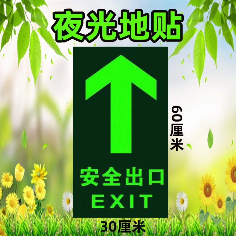 水龙珠(SHUILONGZHU)标识牌自发光pvc箭头耐磨地贴墙贴200*400标识(一包5个装)花色可联系客服选配