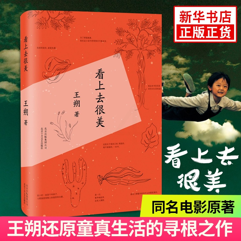 [正版] 看上去很美(精)王朔随笔集作品致女儿书我是你爸爸 爱情小说都市 情感小说中国现当代文学经典文学小说 书籍排