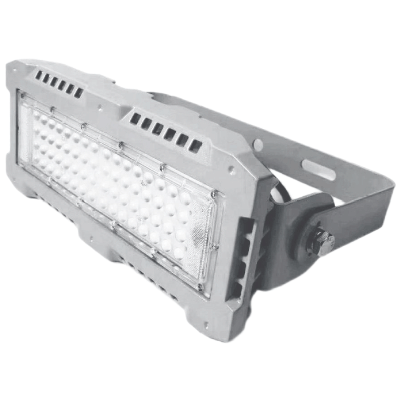 维莱奥斯 TGD1003-G LED投光灯110W 220V IP66 2700-7000K图片