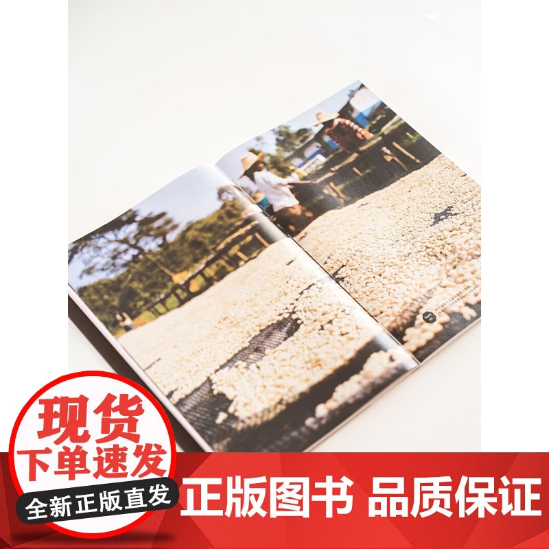 咖啡寻豆师手册 瑞恩·布朗 著 烹饪美食高清大图