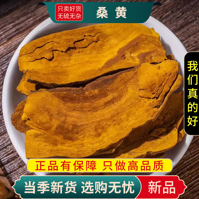 甄选桑黄100克干货正品新货小努灵芝煮水泡茶另售人参9260