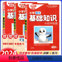 小学基础知识-语文+数学+英语 小学通用 [正版]万唯小白鸥原创小学基础知识与初中衔接大全手册语文数学英语小升初总复习资